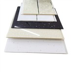 PVC Interior Ceiling Panel